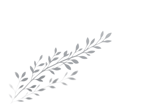 A black and white illustration depicting a detailed branch with leaves and twigs.