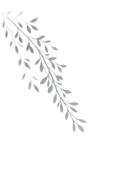 A black and white illustration depicting a detailed branch with leaves and twigs.